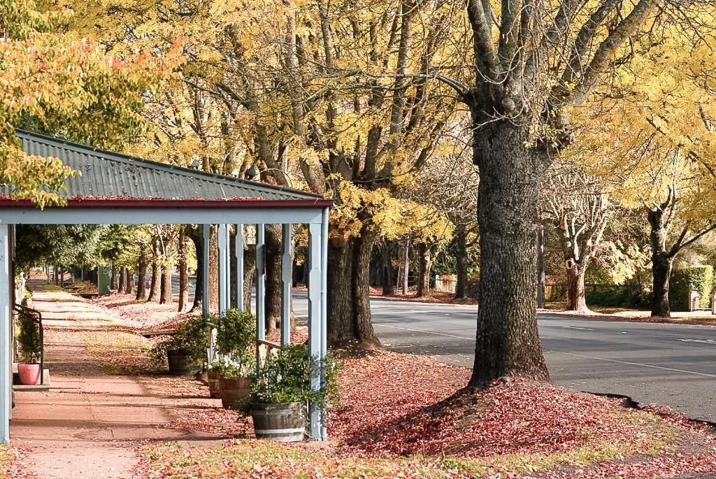 Hepburn Springs Motor Inn Εξωτερικό φωτογραφία